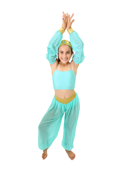 Princess Jasmine Costume