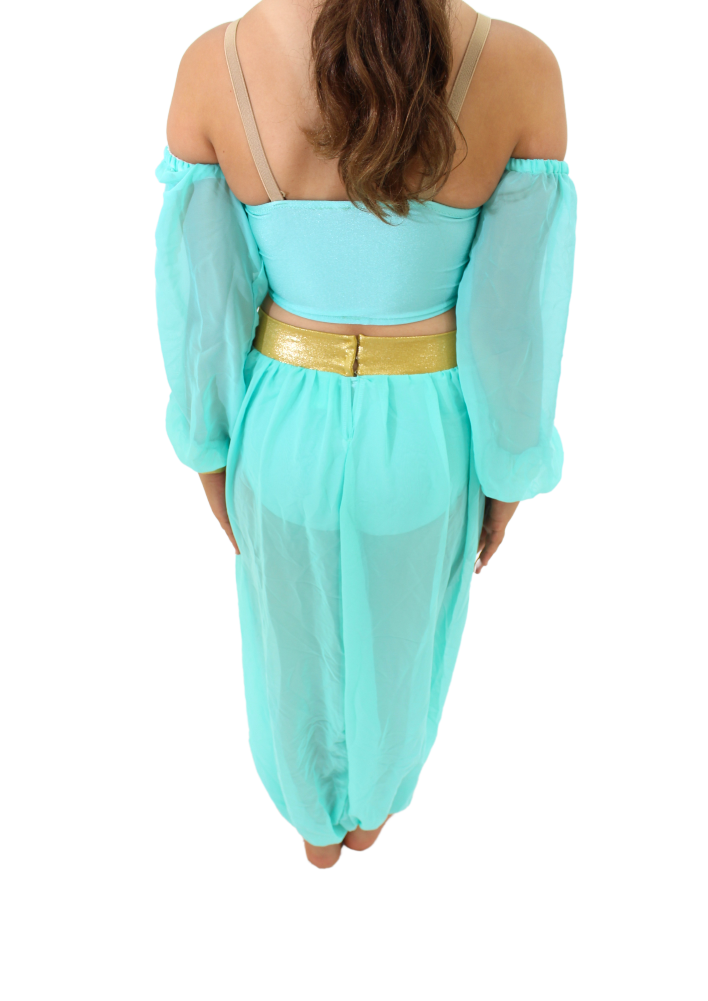 Princess Jasmine Costume