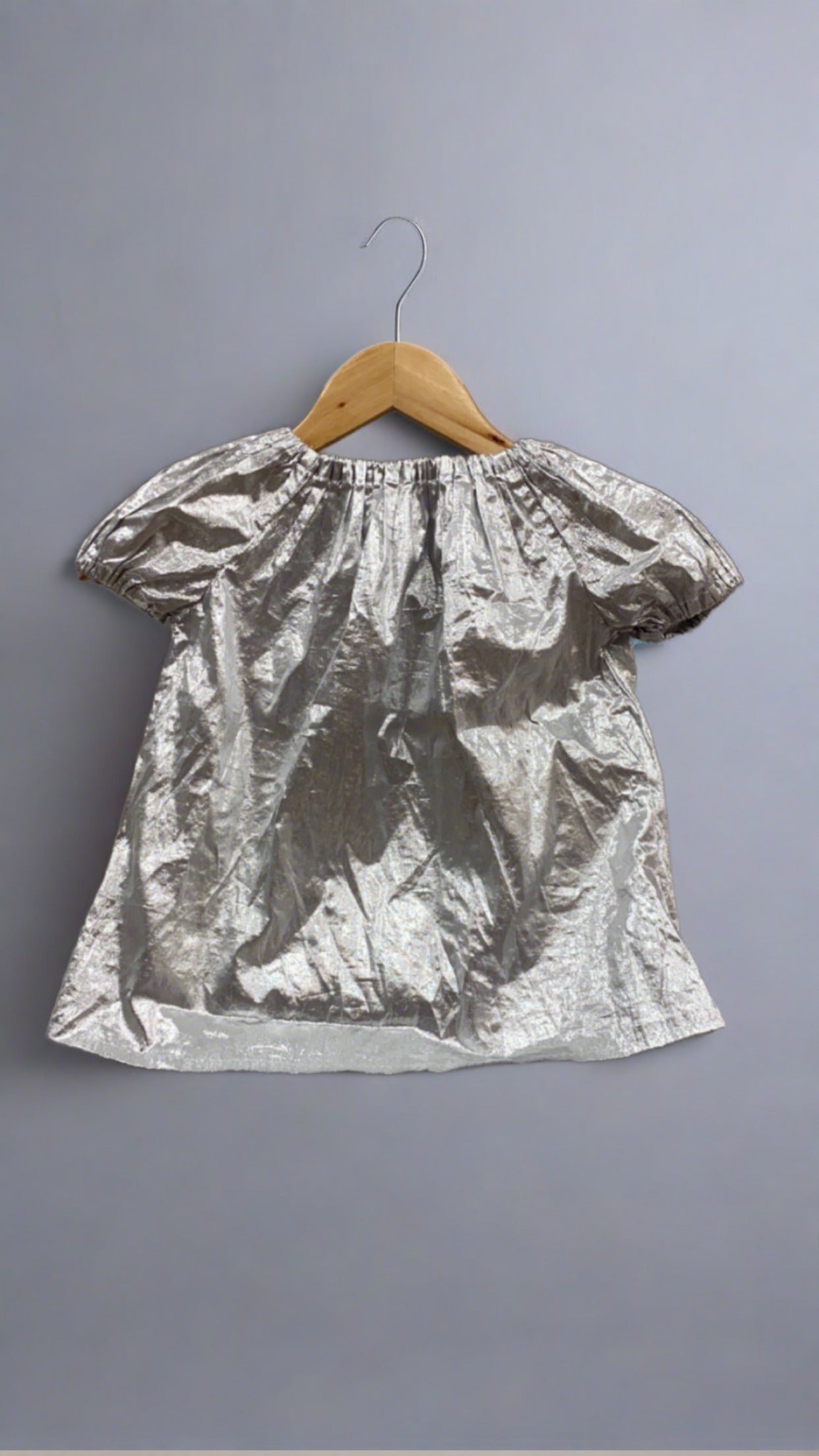 Silver Metallic Top
