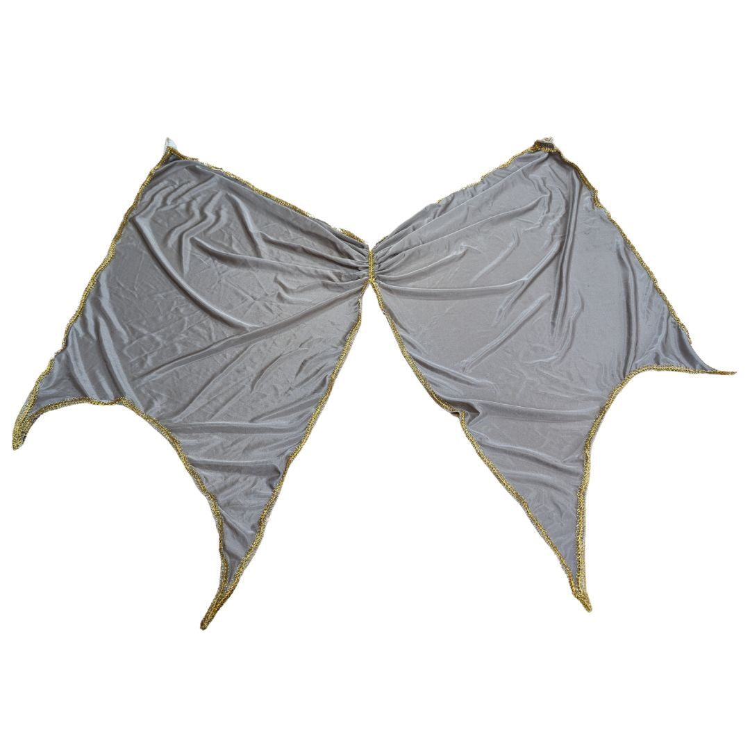 Grey and Gold Wings
