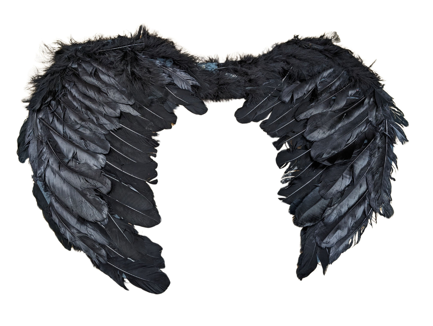 Small Black Feather Wings