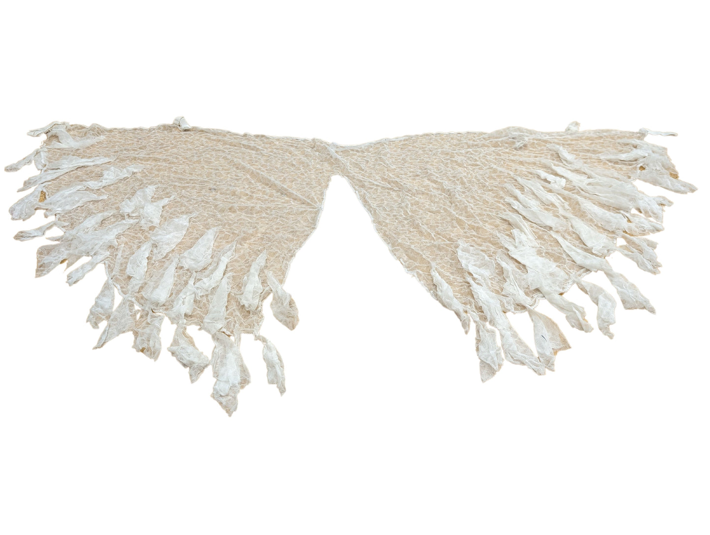 Lacy White Wings