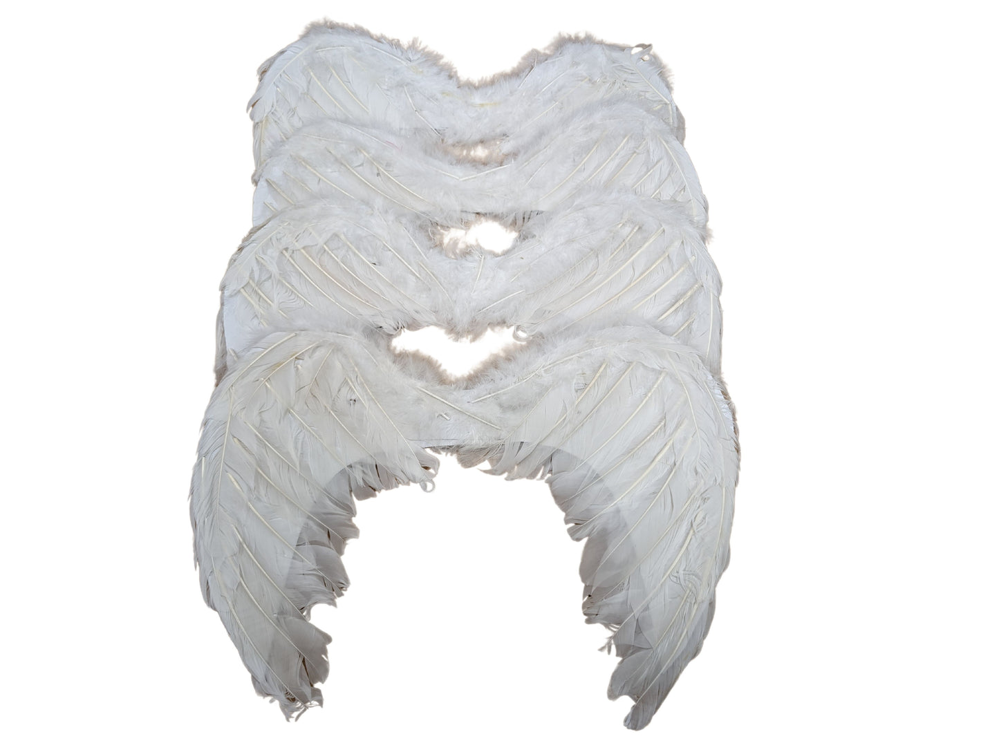 Small Feather Wings