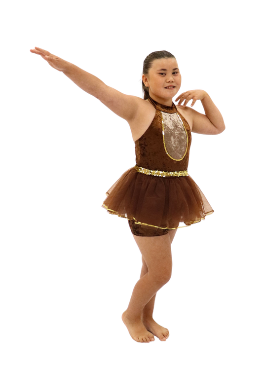 Brown and Gold skirt