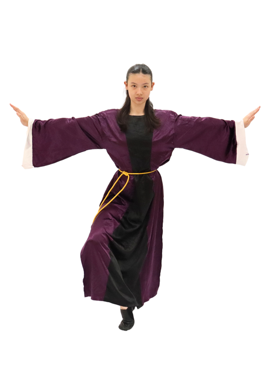 Purple and Black Evil Queen Dress