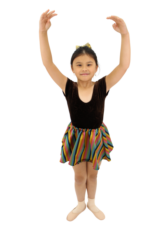 Rainbow Stripe Skirt