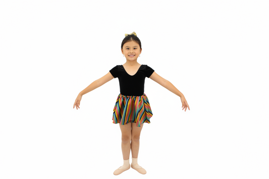 Rainbow Stripe Skirt