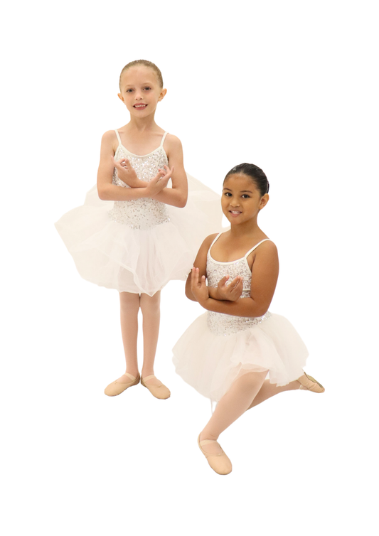 White & Silver Sparkle Tutu