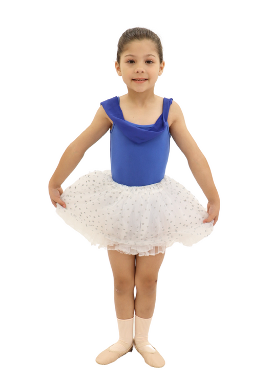 Silver Star Overskirt