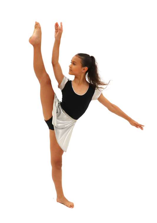 Capped Sleeve Black and Silver Leotard