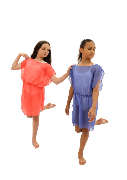 Pink & Blue Overlay Dress