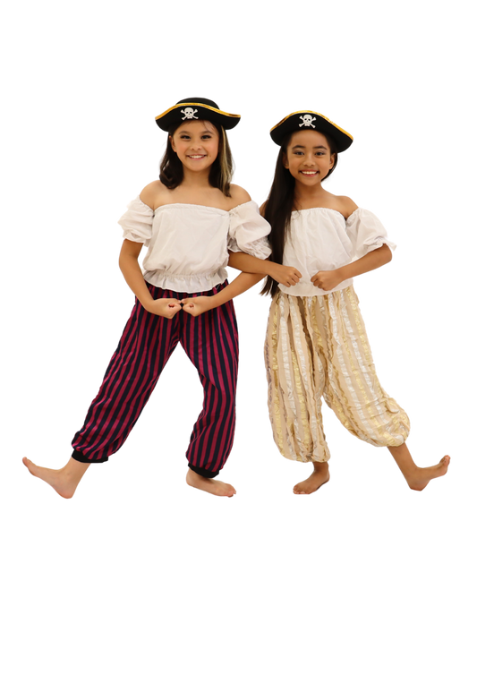 Silver & Gold Pinstripes Bloomers