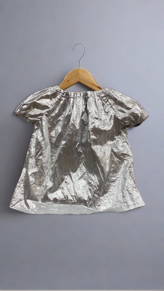 Silver Metallic Top