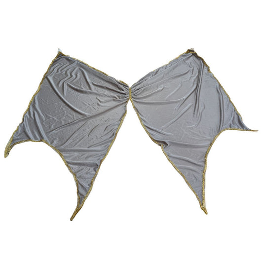 Grey and Gold Wings