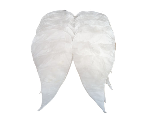 Large White Wings with White Details