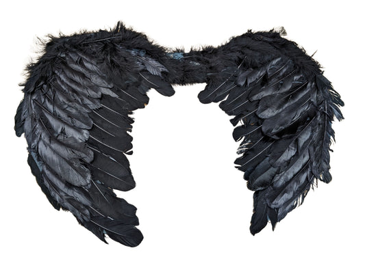Small Black Feather Wings