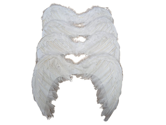 Small Feather Wings