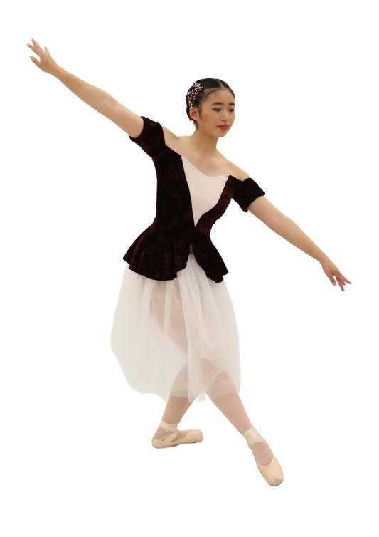 Burgundy Tutu overlay dress with cream insert
