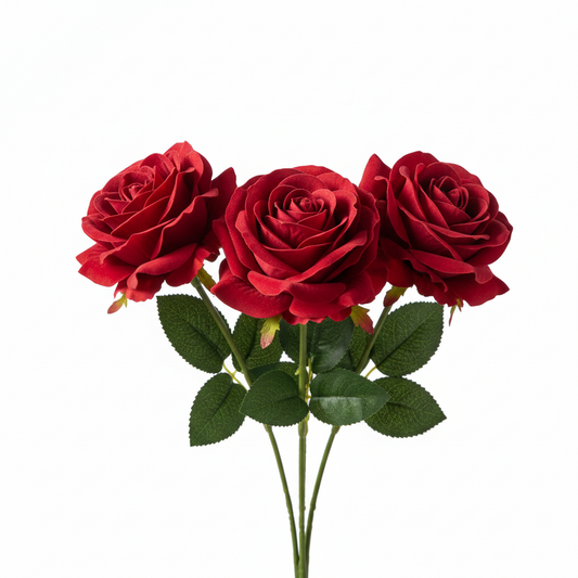 Three Roses Combo