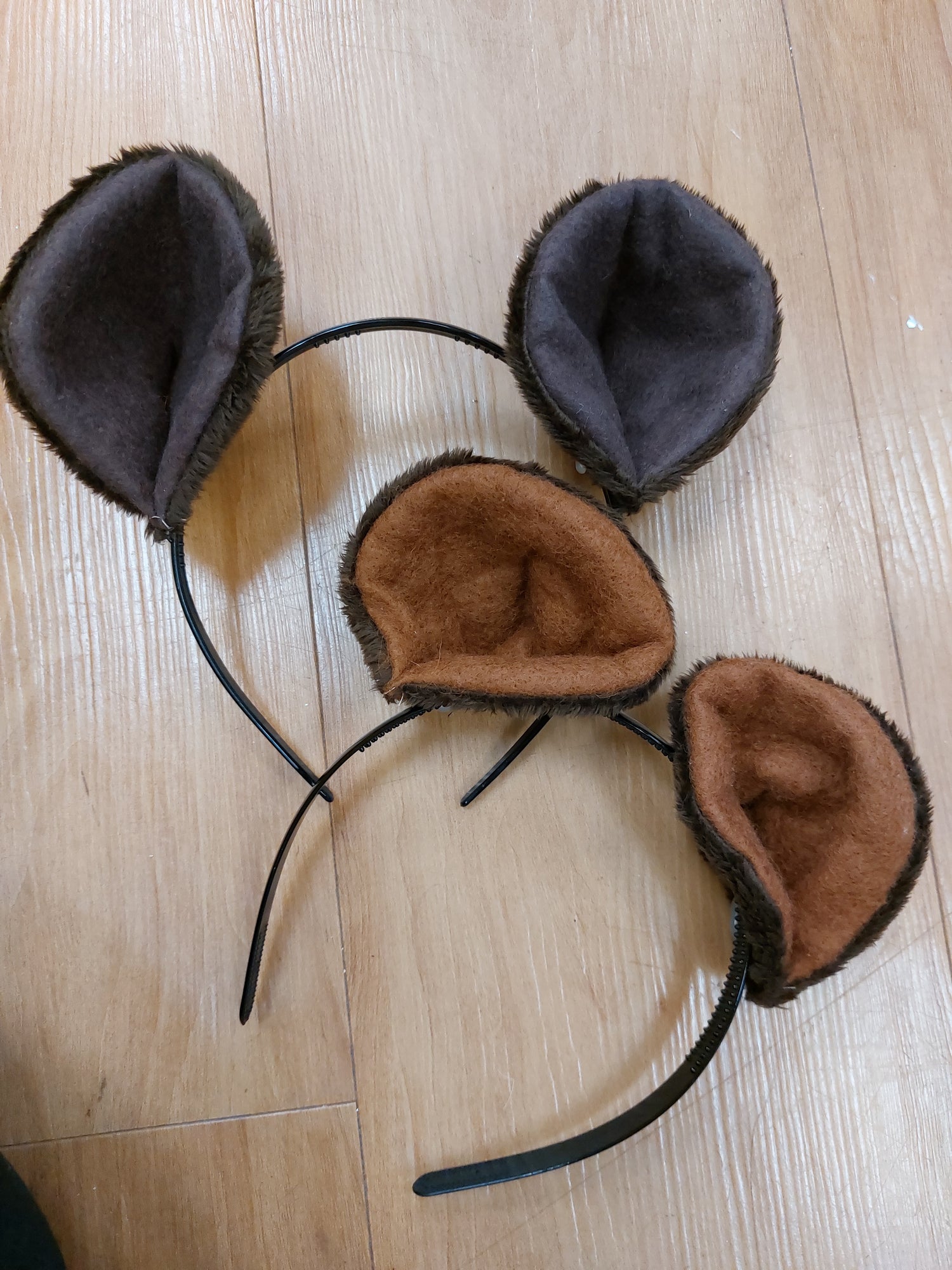 Costume Hire - Ears and Beaks