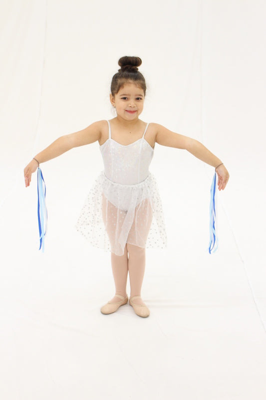 Silver Iridescent Leotard