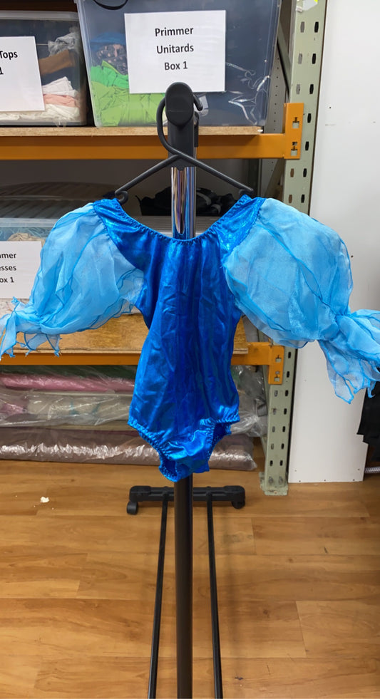 Blue Puff Sleeve Sparkly Leotard
