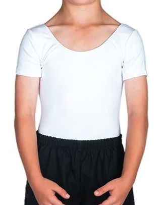 Aaron leotard