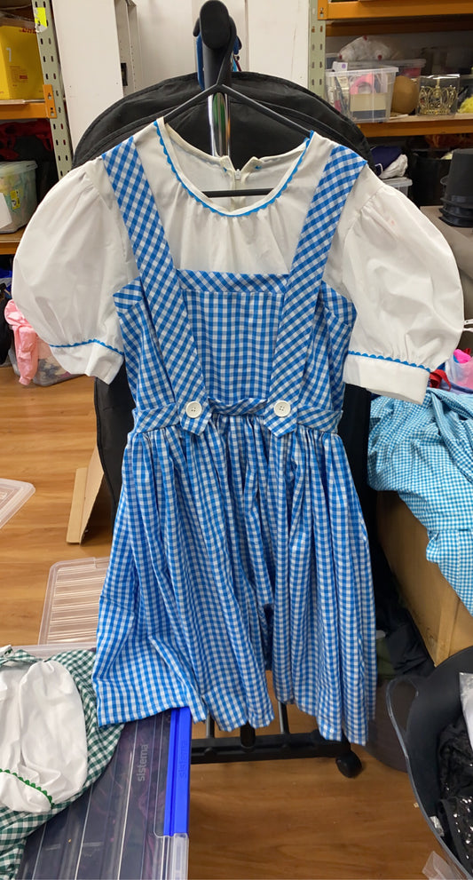 Wizard of Oz Dress